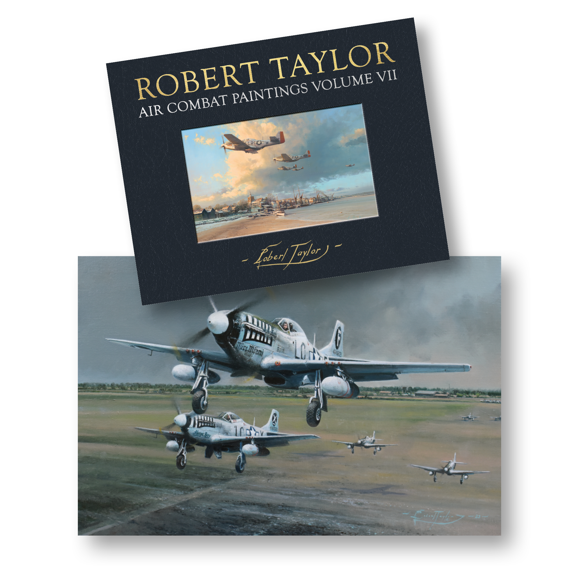 The world's leading specialist in Aviation and Military fine art